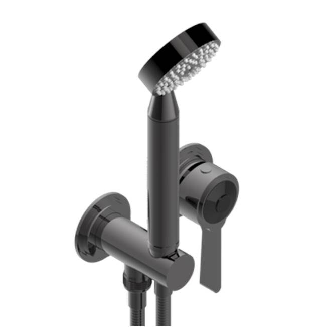 THG Trim Only For Wall Mixer With Complete Handshower On Hook