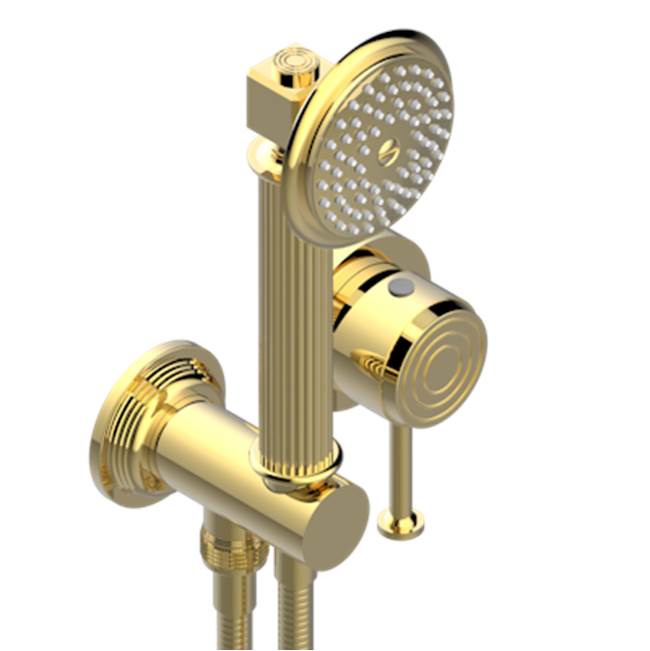 THG Trim Only For Wall Mixer With Complete Handshower On Hook
